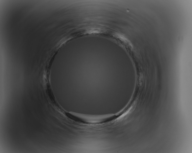 X0000089951353200706291204