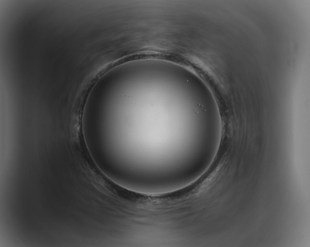 X0000089951355200706291204