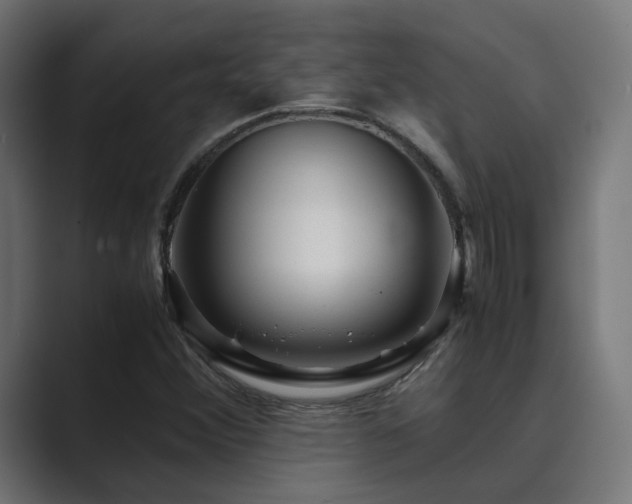 X0000089951356200706291204
