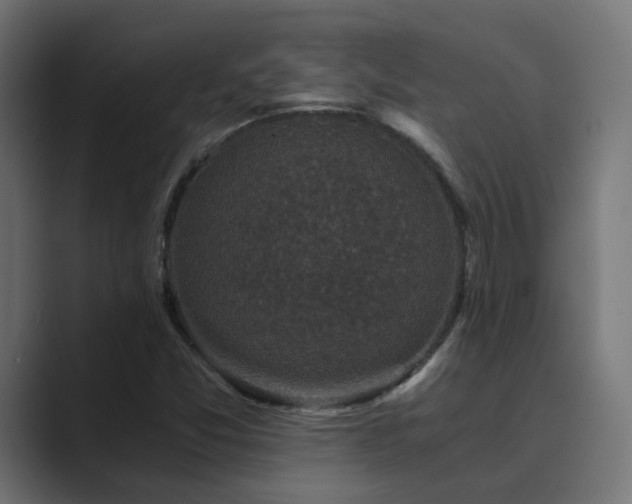 X0000089951357200706291204