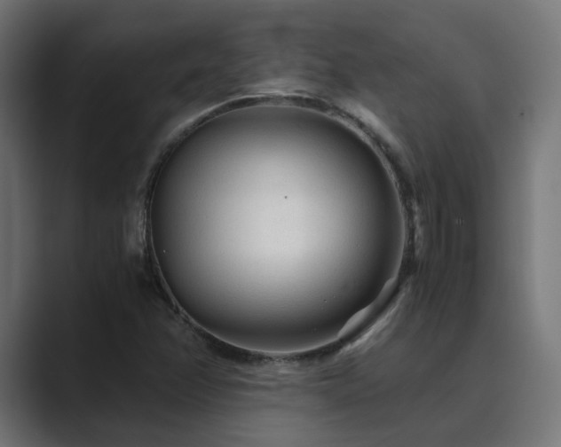 X0000089951358200706291204