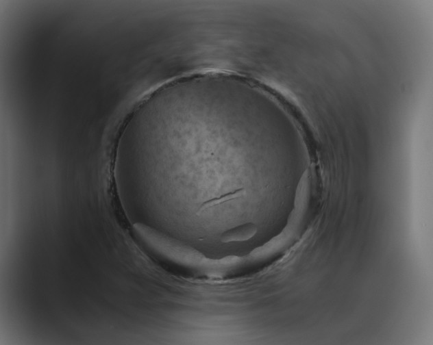 X0000089951359200706291204