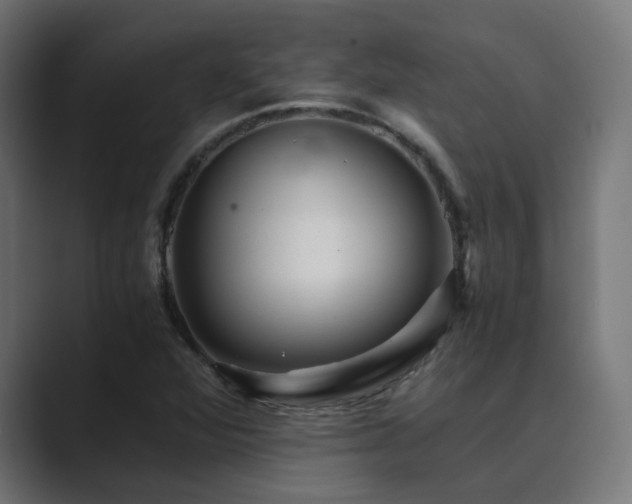 X0000089951360200706291204