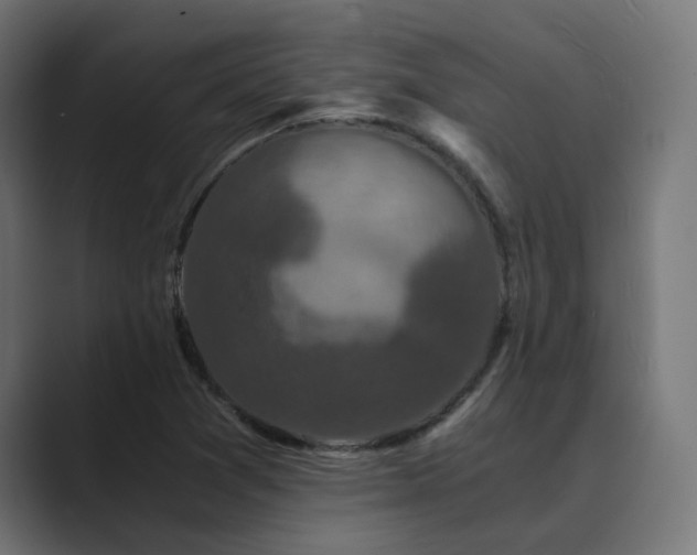 X0000089951361200706291204