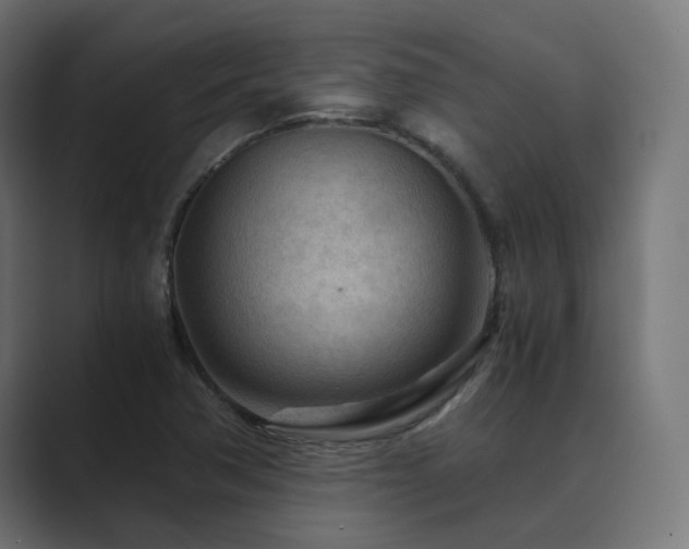 X0000089951362200706291204