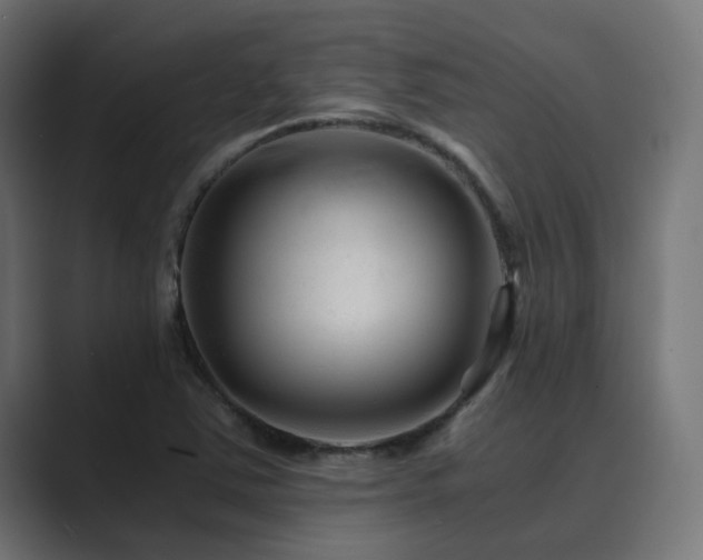 X0000089951363200706291204