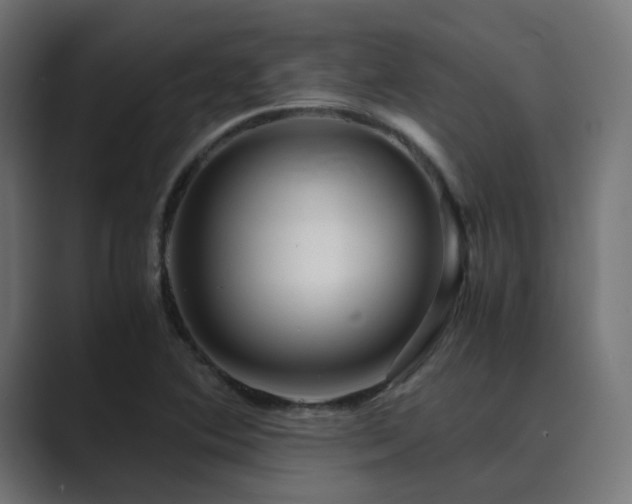 X0000089951364200706291204