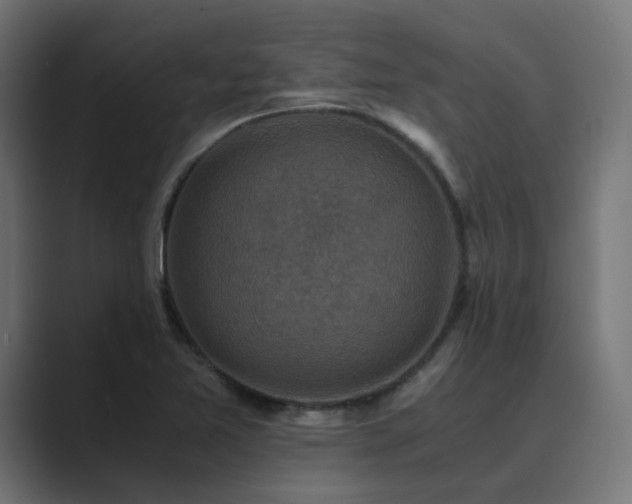 X0000089951365200706291204