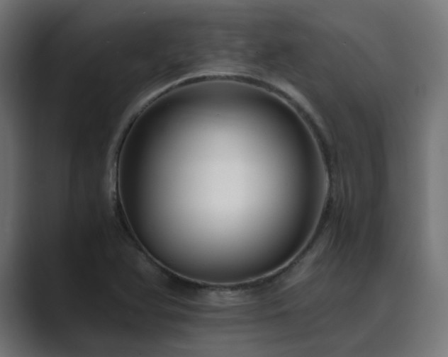X0000089951366200706291204