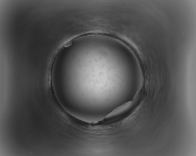 X0000089951367200706291204