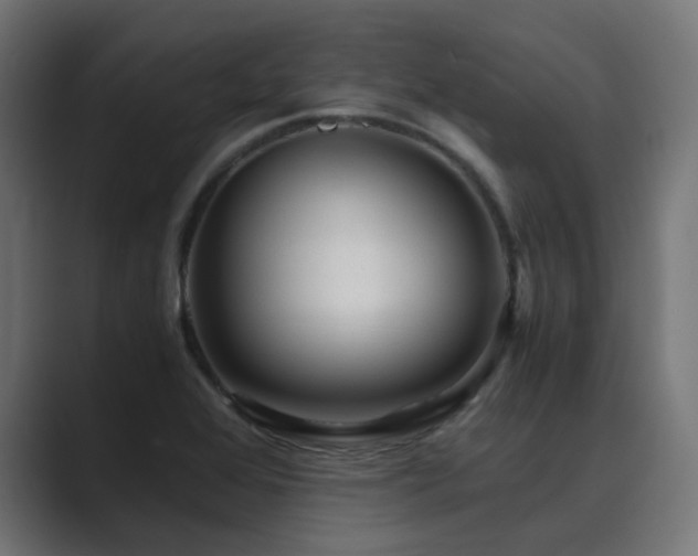 X0000089951368200706291204