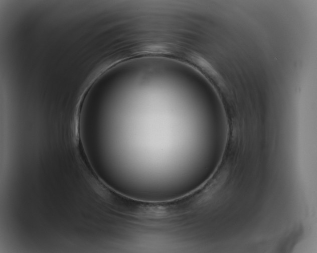 X0000089951370200706291204