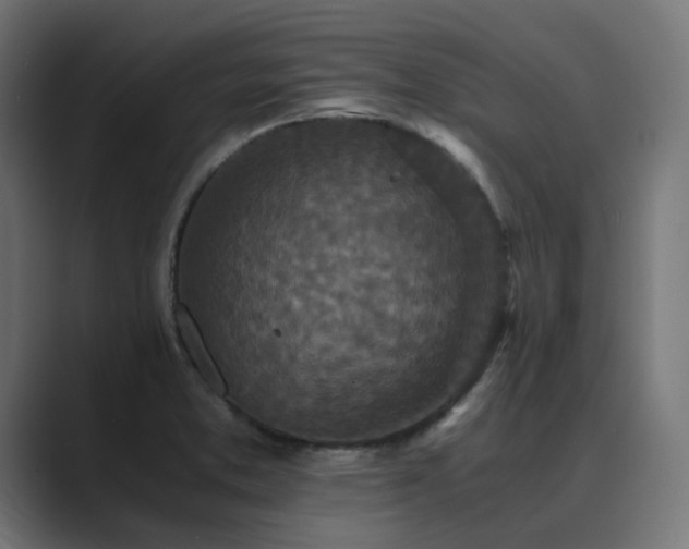 X0000089951373200706291204