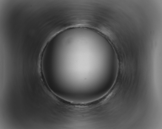X0000089951374200706291204