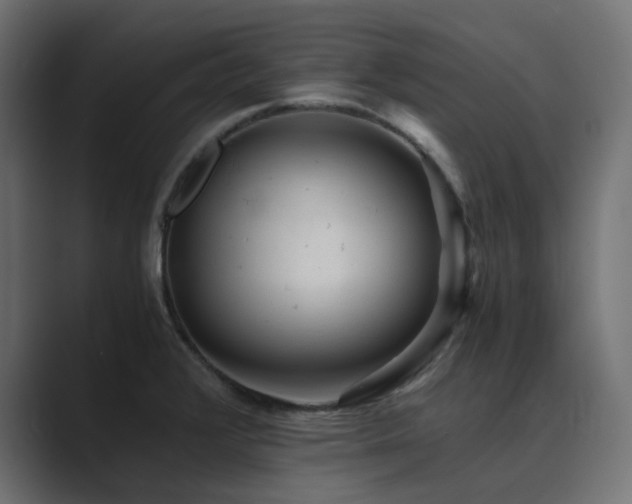 X0000089951376200706291204
