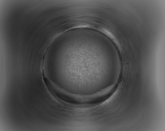 X0000089951377200706291204