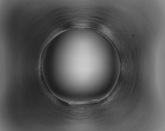 X0000089951378200706291204