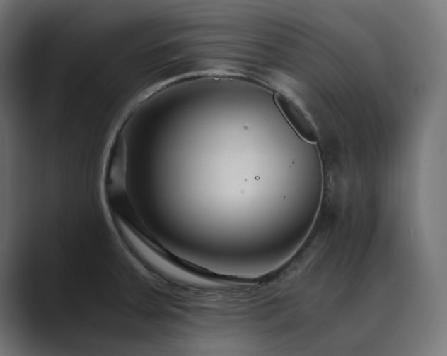 X0000089951379200706291204