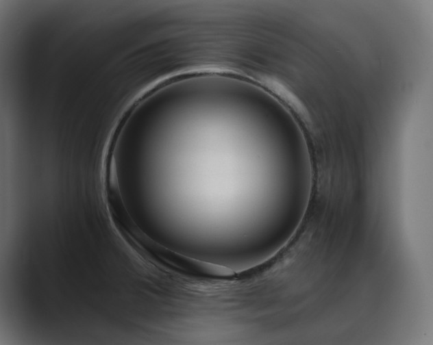 X0000089951380200706291204
