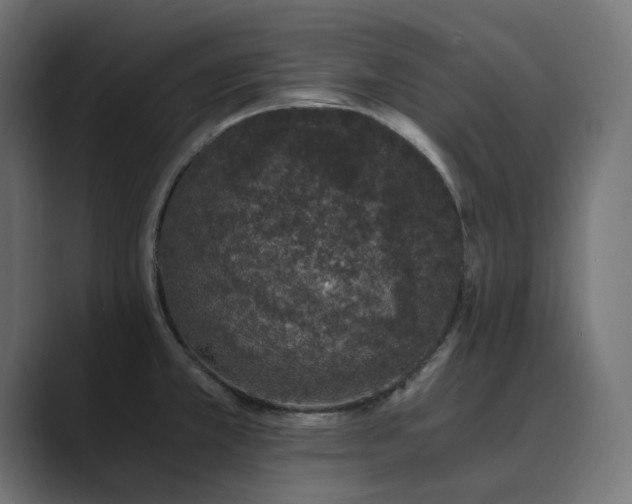 X0000089951381200706291204