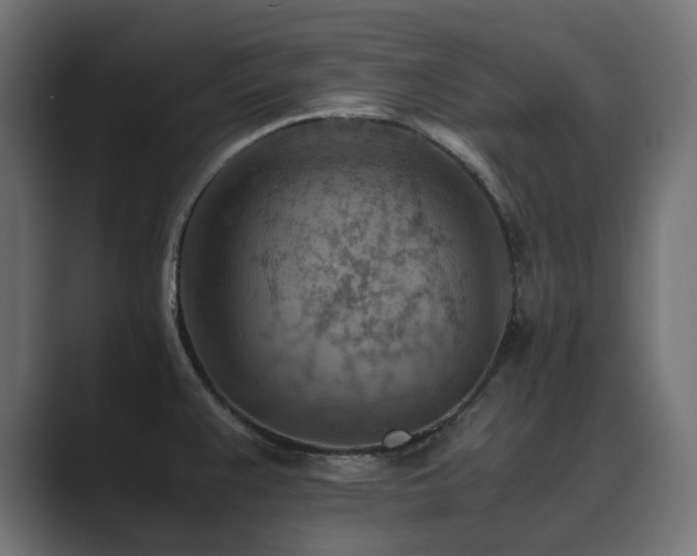 X0000089951383200706291204