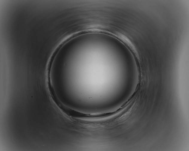 X0000089951384200706291204