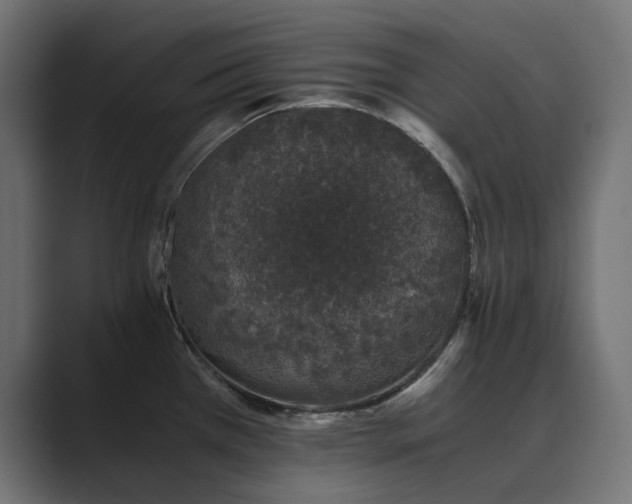 X0000089951385200706291204