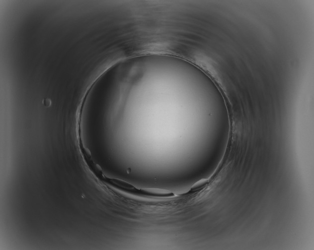 X0000089951386200706291204