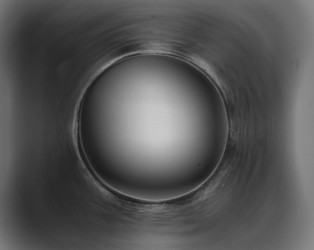 X0000089951387200706291203