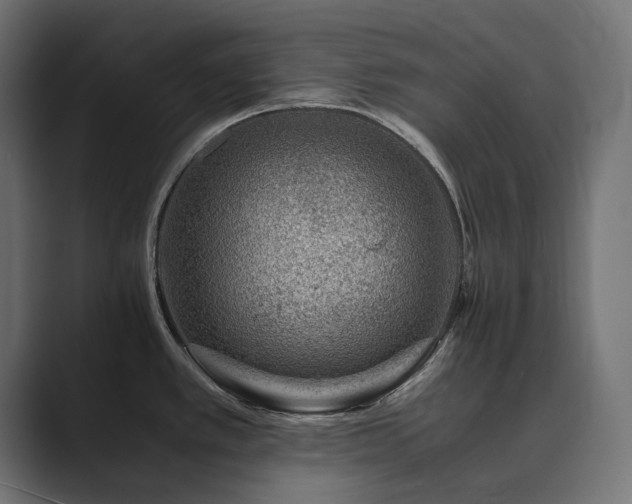 X0000089951389200706291203