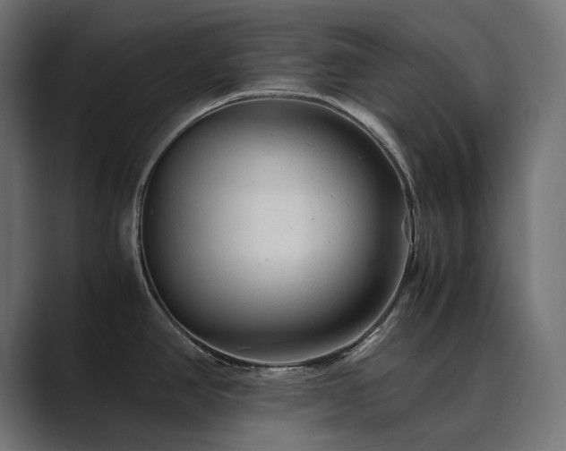 X0000089951390200706291203