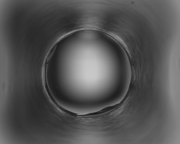 X0000089951391200706291203