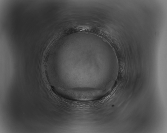 X0000089951393200706291203