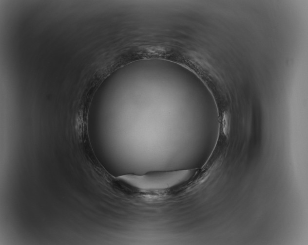 X0000089951395200706291203