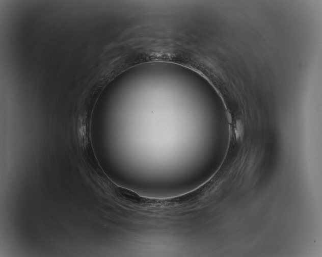 X0000089951396200706291203