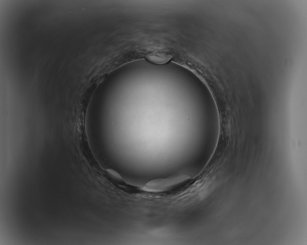 X0000089951397200706291203