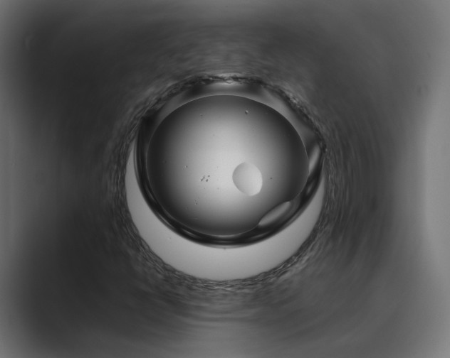 X0000089951398200706291203