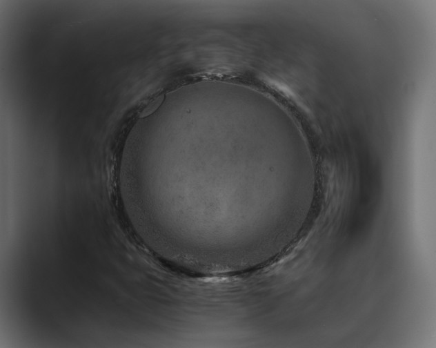 X0000089951399200706291203