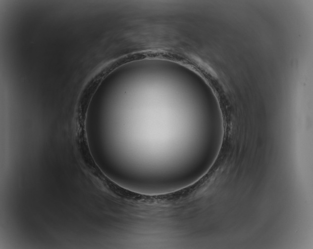 X0000089951400200706291203