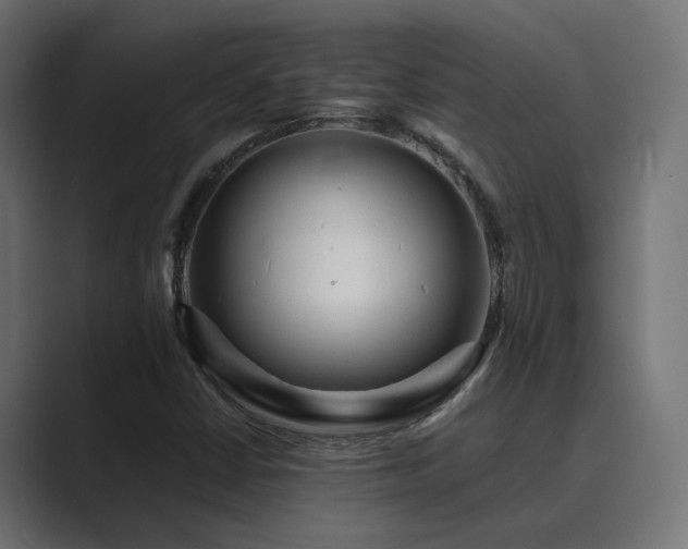 X0000089951402200706291203