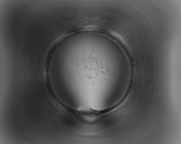 X0000089951403200706291203