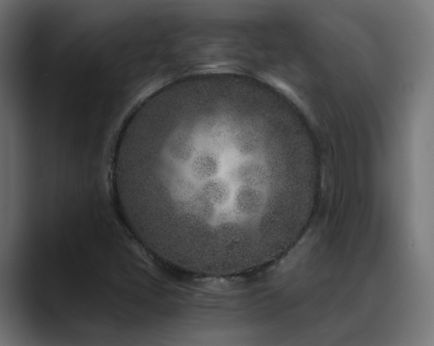 X0000089951405200706291203