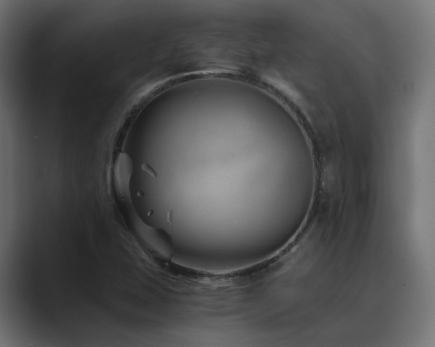 X0000089951407200706291203