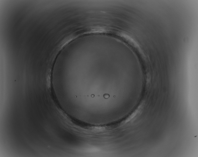 X0000089951409200706291203