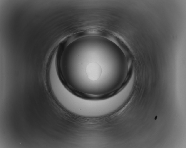X0000089951410200706291203