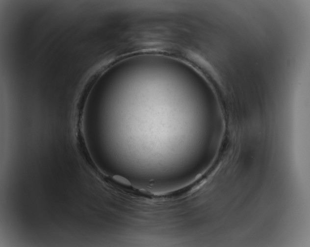 X0000089951411200706291203