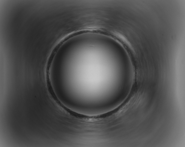 X0000089951412200706291203