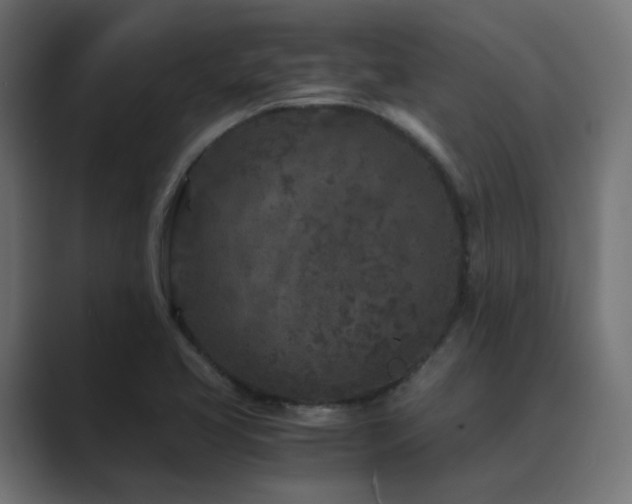 X0000089951413200706291203