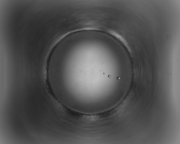 X0000089951415200706291203