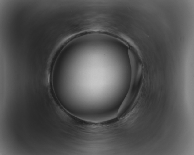 X0000089951416200706291203